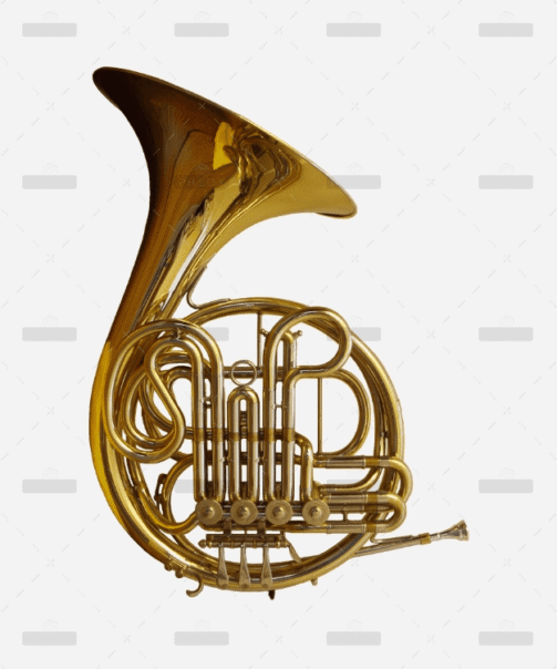 demo-attachment-207-Group-10239