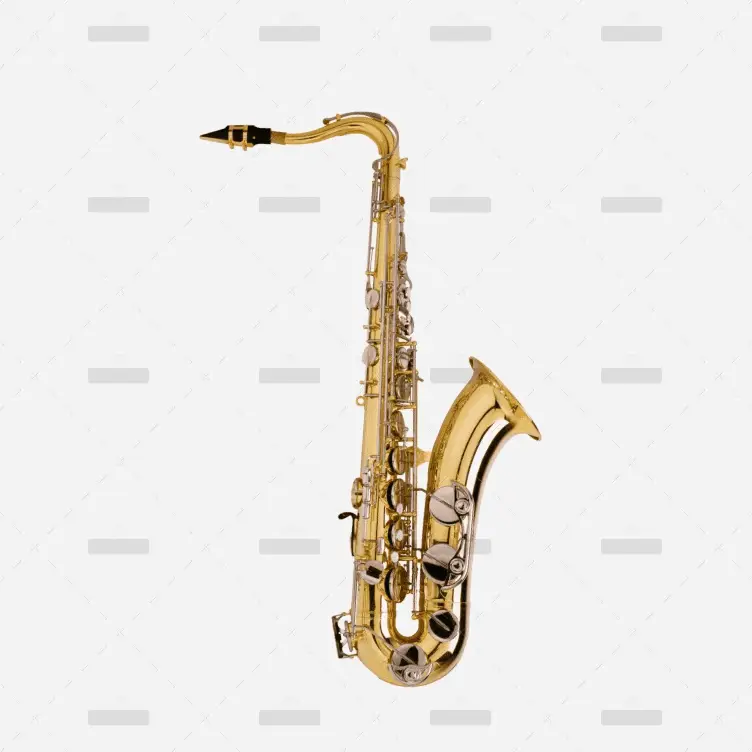 Full Double French Horn - obrazek 2